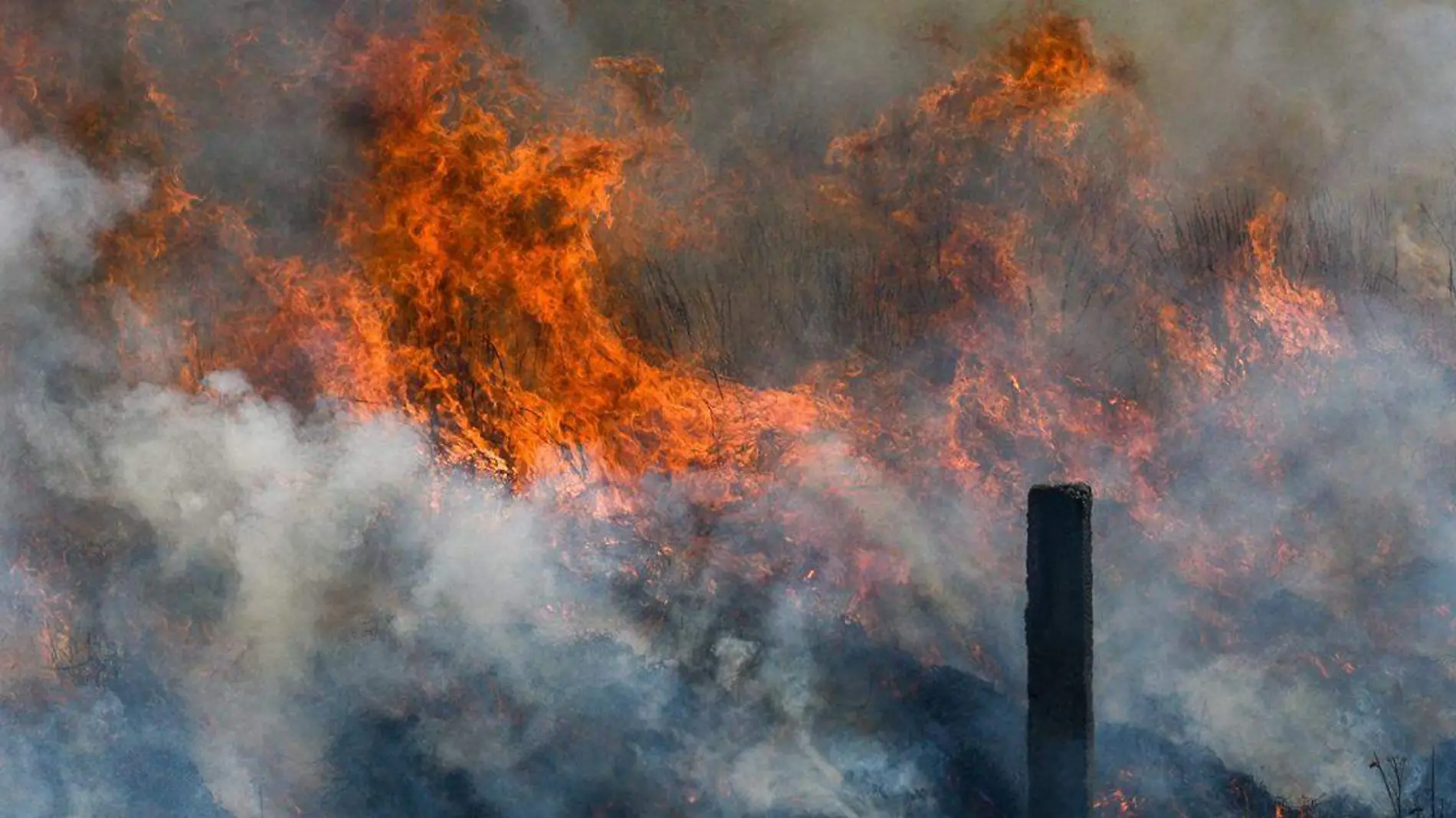 Debido a los cambios geoquímicos y climáticos del planeta Tierra la temporada de incendios forestales iniciará próximamente en el estado de Puebla